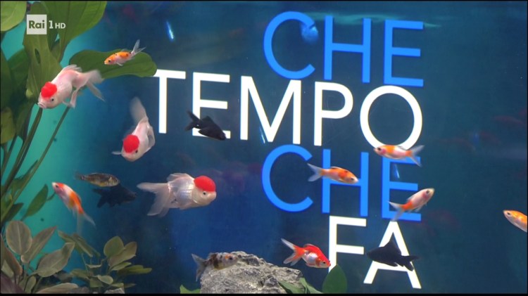 0924_204304_chetempochefa